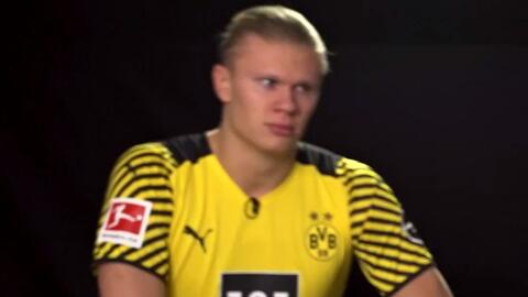 势项目的技 势项目的技